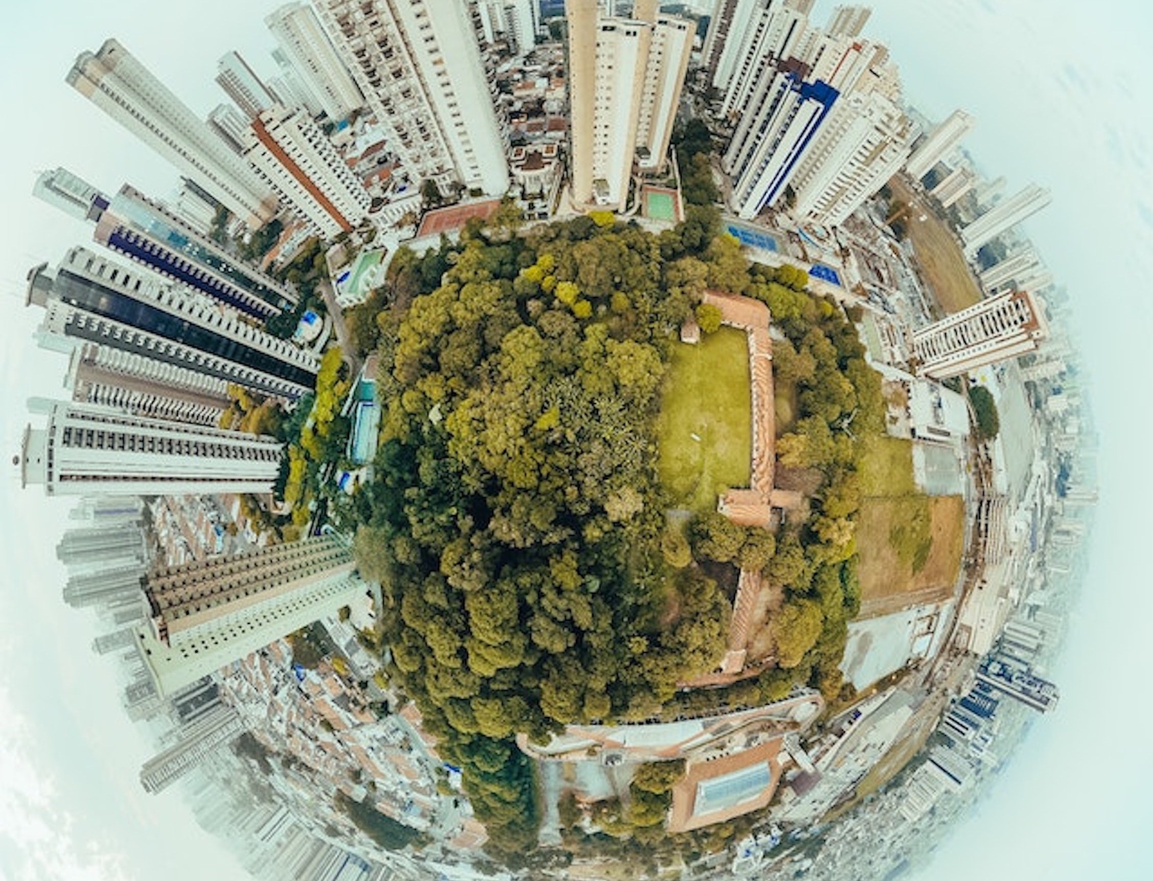 city with a park at the center and skyscrapers around